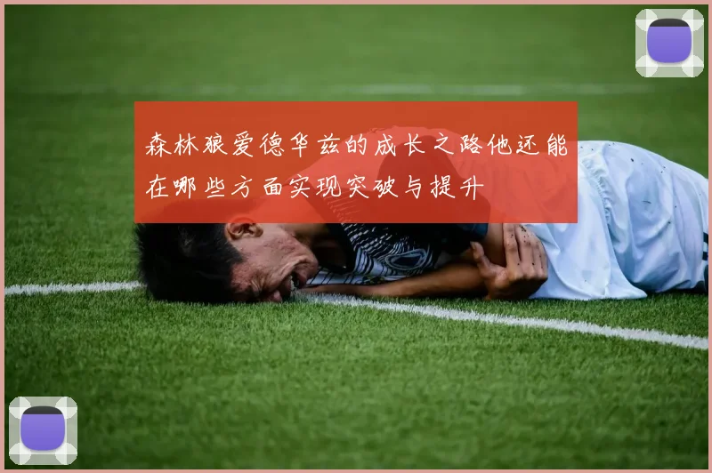 森林狼爱德华兹的成长之路他还能在哪些方面实现突破与提升