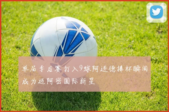 单届季后赛打入9球阿连德捧杯瞬间成为迈阿密国际新星