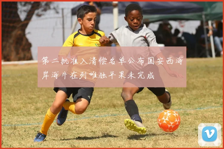 第二批准入清偿名单公布国安西海岸海牛在列唯独平果未完成