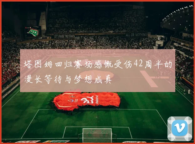 塔图姆回归赛场感慨受伤42周半的漫长等待与梦想成真