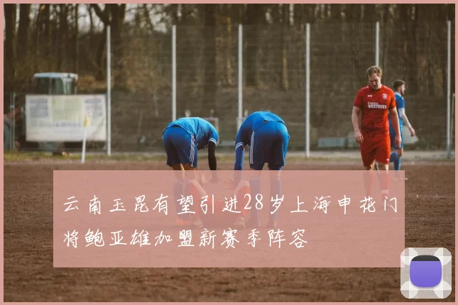 云南玉昆有望引进28岁上海申花门将鲍亚雄加盟新赛季阵容